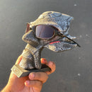 Óculos de sol Juliet Carbon Ciclope - borracha preta